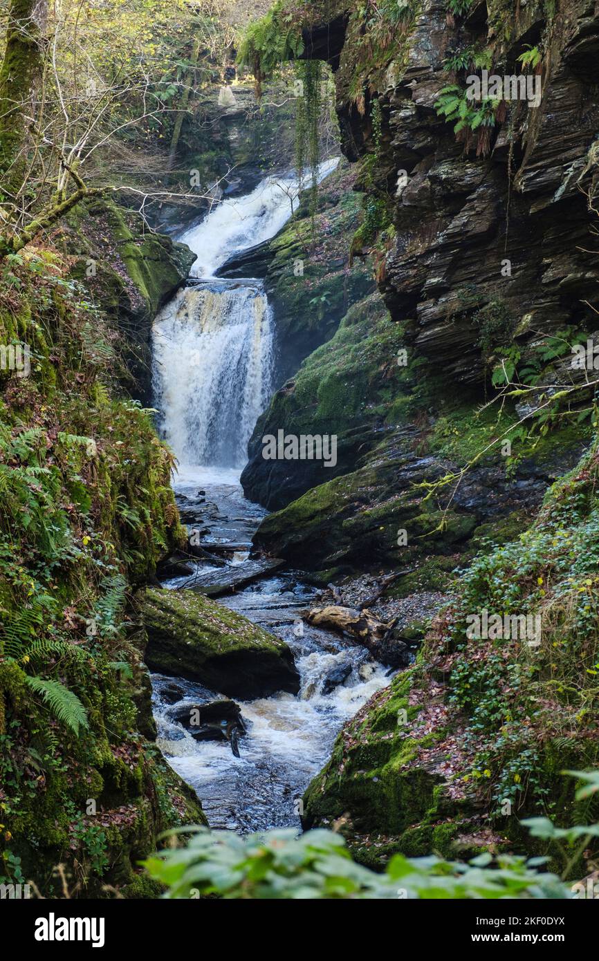 Cascata di Rhaeadr Cynfal sul fiume Afon Cynfal in una gola nel Parco Nazionale di Snowdonia vicino a Llan Ffestiniog, Blaenau Ffestiniog, Gwynedd, Galles settentrionale, Regno Unito Foto Stock