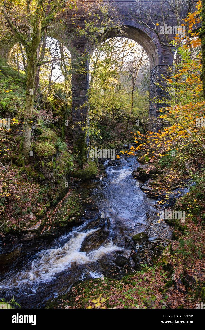 Fiume Afon Cynfal che scorre sotto il vecchio viadotto ferroviario nel Parco Nazionale di Snowdonia vicino a Llan Ffestiniog, Blaenau Ffestiniog, Gwynedd, Galles del nord, Regno Unito Foto Stock