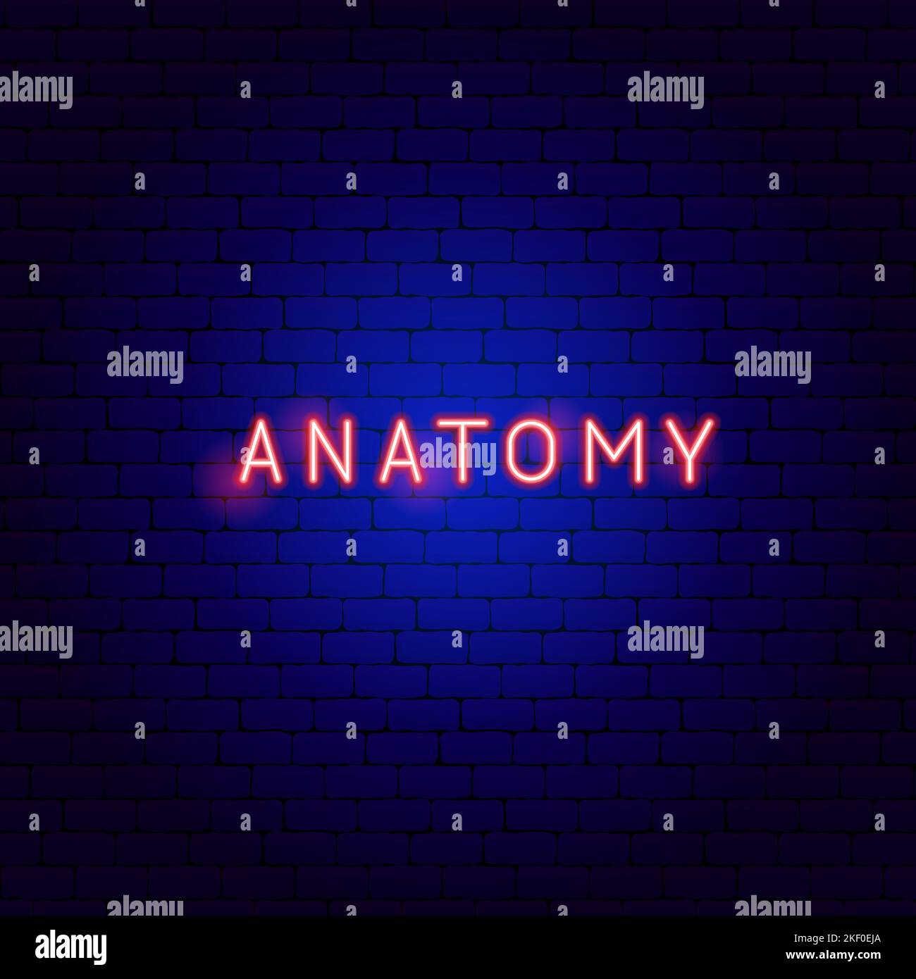 Testo anatomia neon Illustrazione Vettoriale