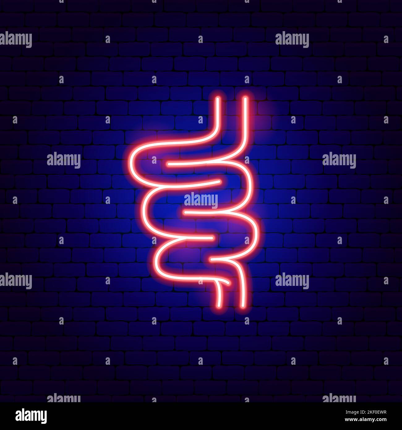 Struttura degli intestini Neon Sign Illustrazione Vettoriale