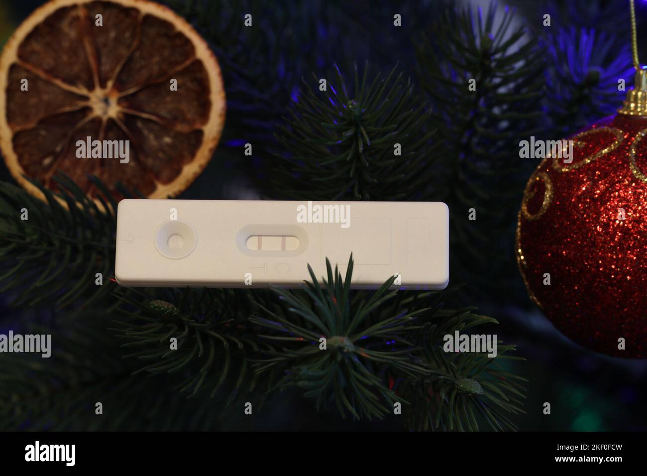 Auto-test antigenico rapido con esito positivo sui rami di un albero di Natale. Un simbolo della diffusione di Covid-19 durante le vacanze. Foto Stock
