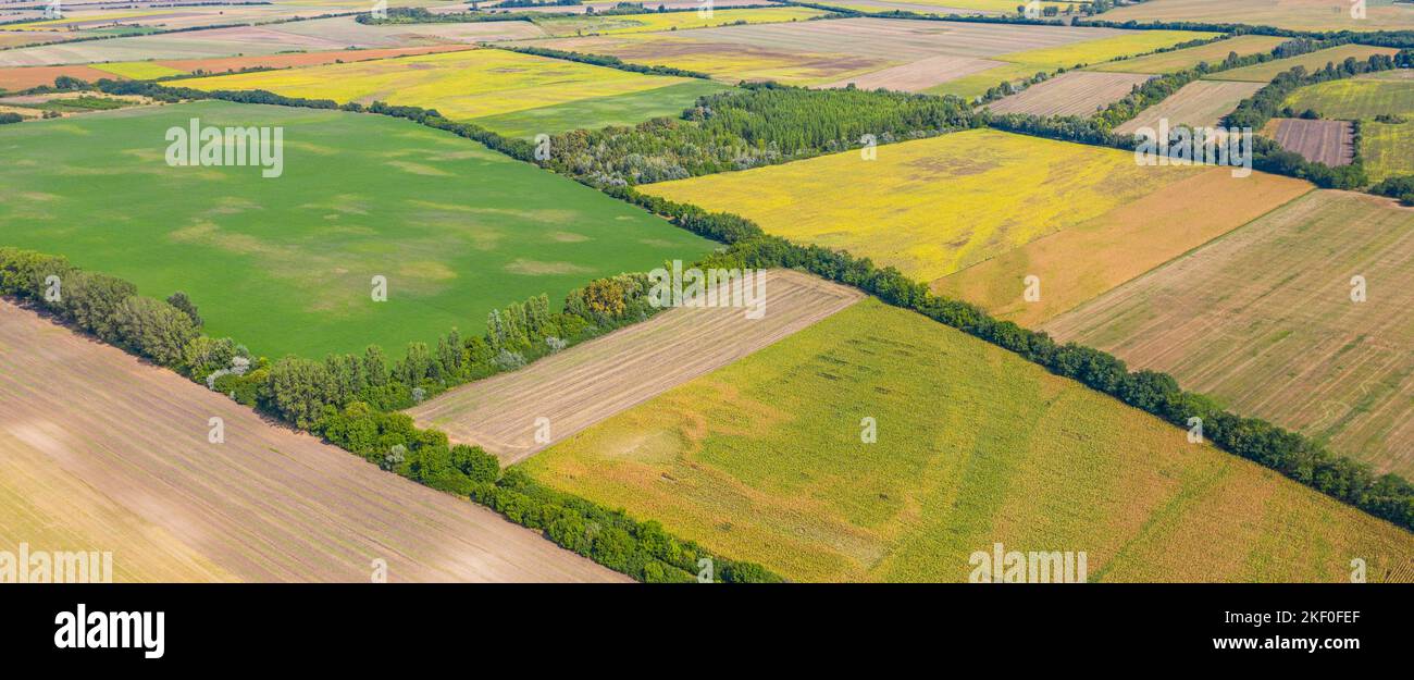 Vista aerea dei campi agricoli. Foto aerea dall'alto del drone volante di una terra con campi verdi seminate in campagna in primavera. Agricoltura Foto Stock
