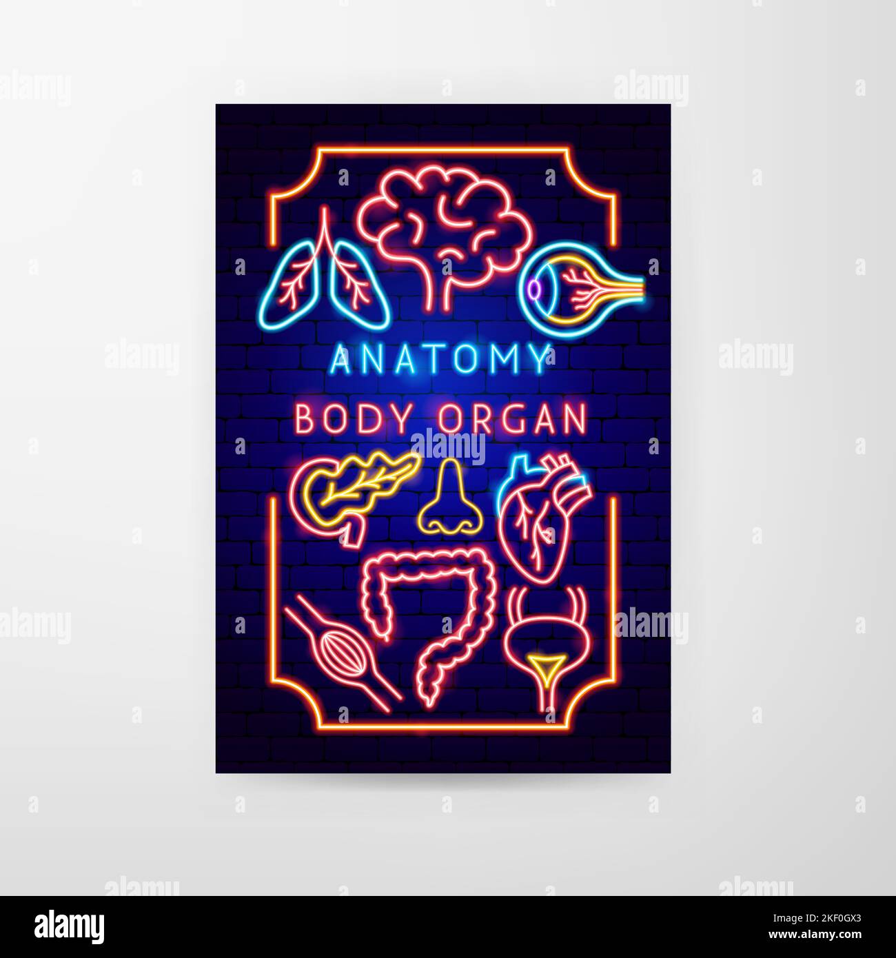 Volantino Anatomy Neon Illustrazione Vettoriale