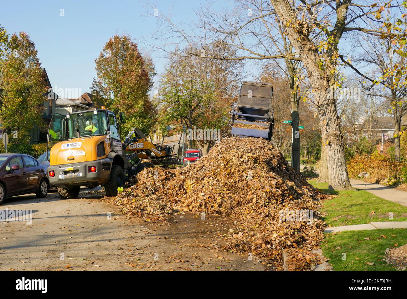 Caricatore frontale utilizzato per il raccoglitore di foglie autunnali. Distretto storico, Oak Park, Illinois. Le foglie saranno compostate. Foto Stock