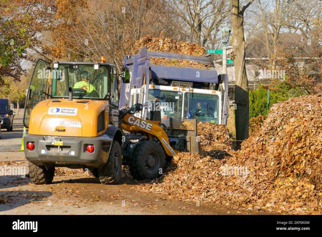 Caricatore frontale utilizzato per il raccoglitore di foglie autunnali. Distretto storico, Oak Park, Illinois. Le foglie saranno compostate. Foto Stock