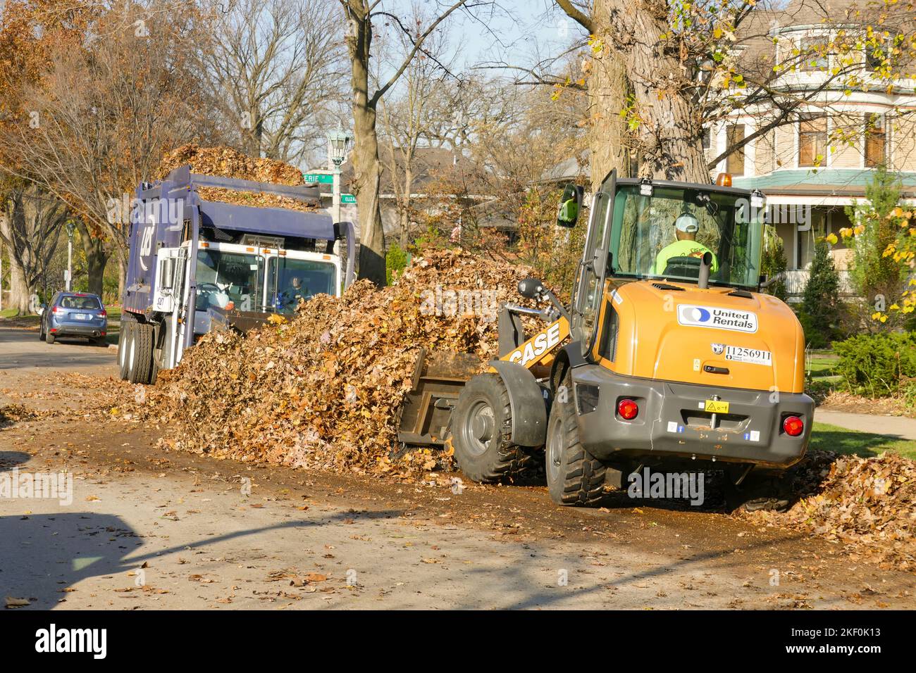 Caricatore frontale utilizzato per il raccoglitore di foglie autunnali. Distretto storico, Oak Park, Illinois. Le foglie saranno compostate. Foto Stock
