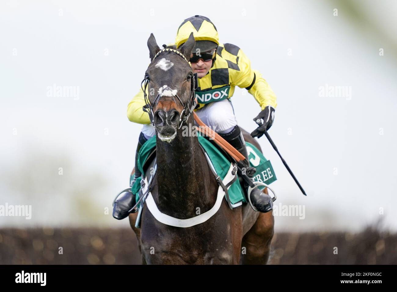 Foto del file datata 10-04-2021 di Shishkin, per il quale il Tingle Creek fa parte del piano - ma Nicky Henderson si rifiuta di confermare la caratteristica pre-natalizia di Sandown come punto di partenza del vincitore del doppio Cheltenham Festival. Data di emissione: Martedì 15 novembre 2022. Foto Stock