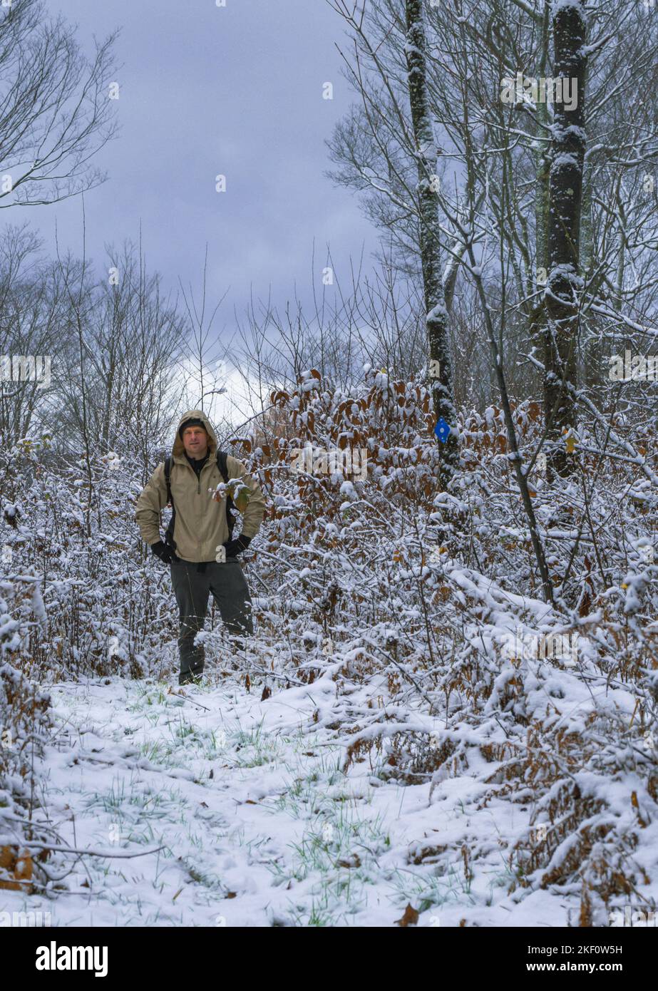 Escursione invernale nel sentiero dei boschi, durante le fresche nevicate Foto Stock