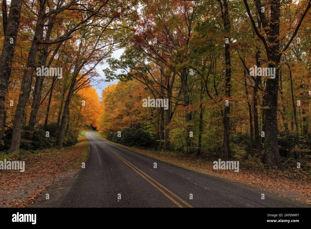 Paesaggi autunnali lungo la Blue Ridge Parkway in Virginia, USA. Foto Stock