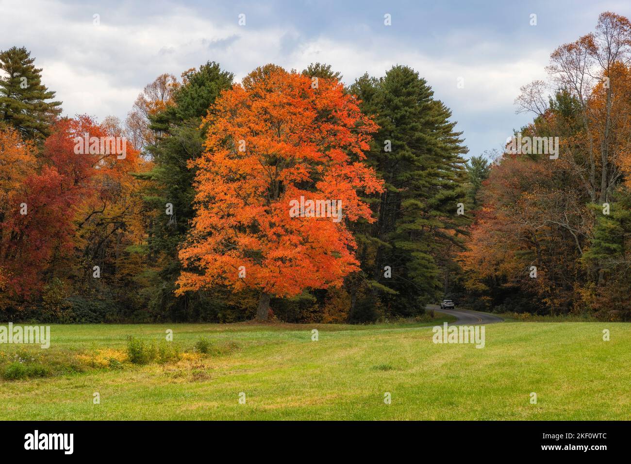 Paesaggi autunnali lungo la Blue Ridge Parkway in Virginia, USA. Foto Stock