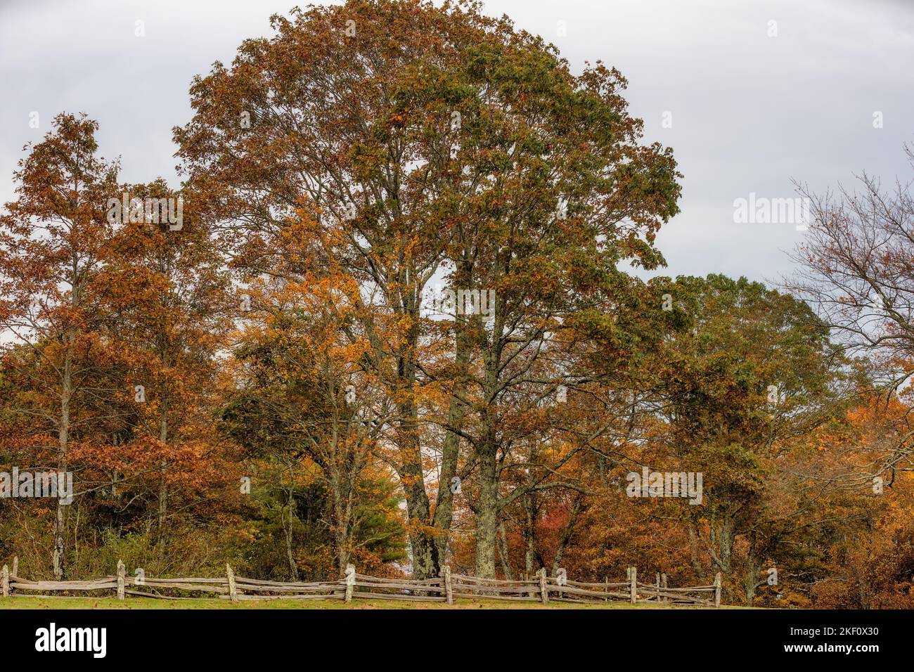 Paesaggi autunnali lungo la Blue Ridge Parkway in Virginia, USA. Foto Stock
