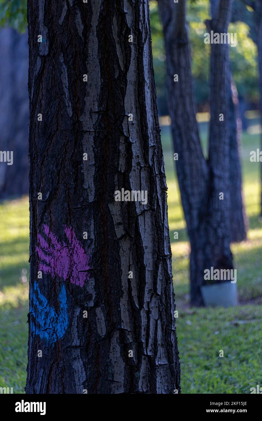 cura ambientale da parte di uomini e donne, le mani segnate su un tronco di entrambi i sessi Foto Stock
