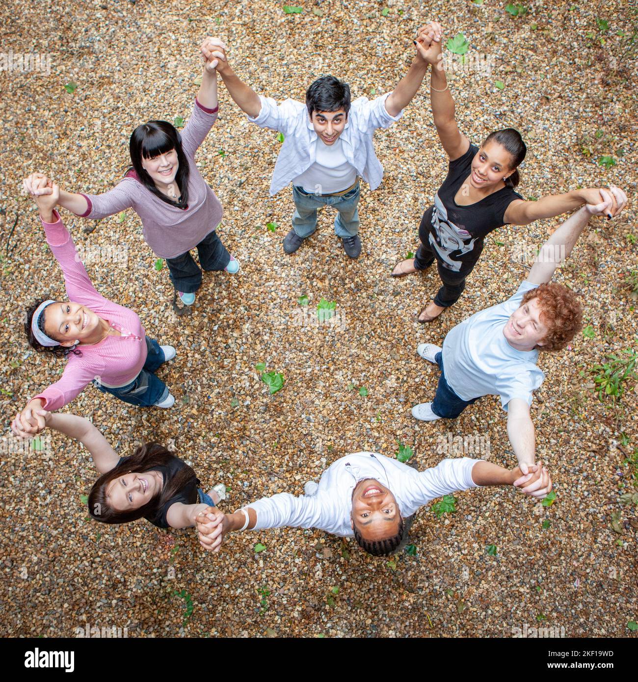 Amici adolescenti. Vista rialzata che si affaccia su un gruppo di 7 adolescenti di razza mista e di sesso misto. Da una serie di immagini correlate. Foto Stock