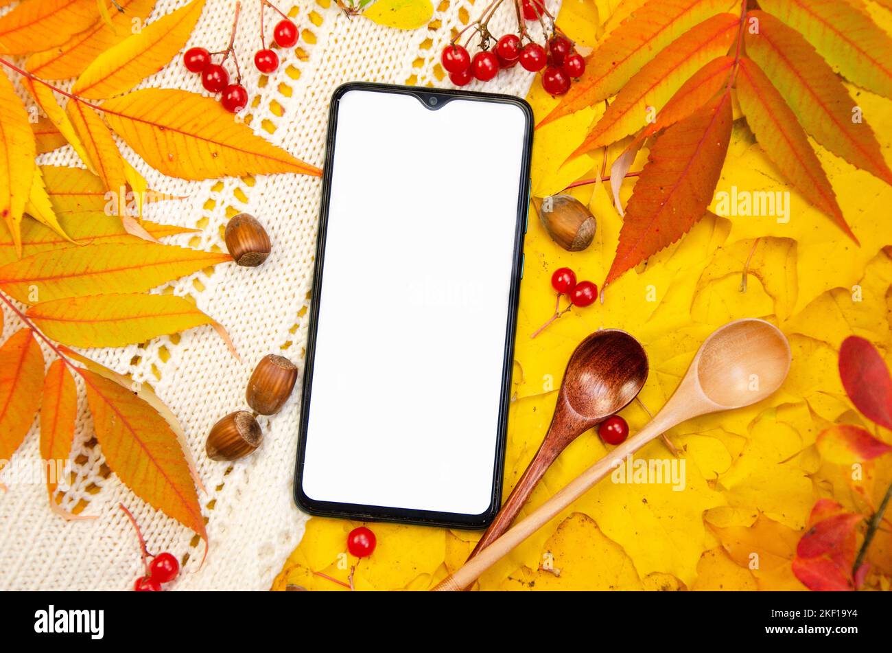 Mockup di uno smartphone su uno sfondo in giallo arancione toni rossi: Un plaid bianco lavorato a maglia lascia bacche cucchiai di nocciole. Modello per l'autunno Foto Stock