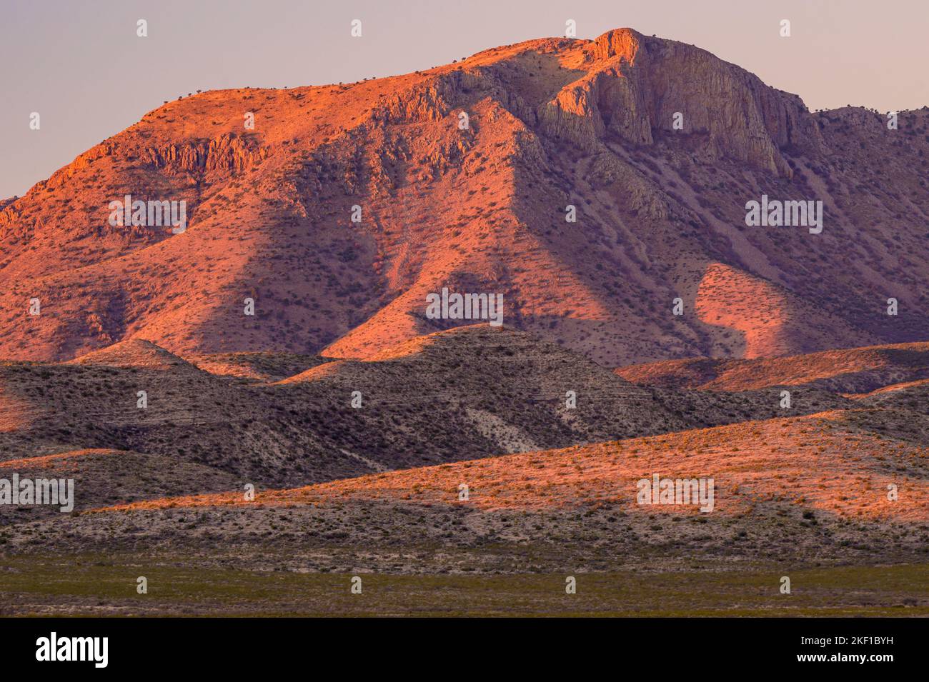 Deserto del Texas occidentale all'alba - Davis Mountains, vicino a Fort Davis, Texas, Stati Uniti Foto Stock
