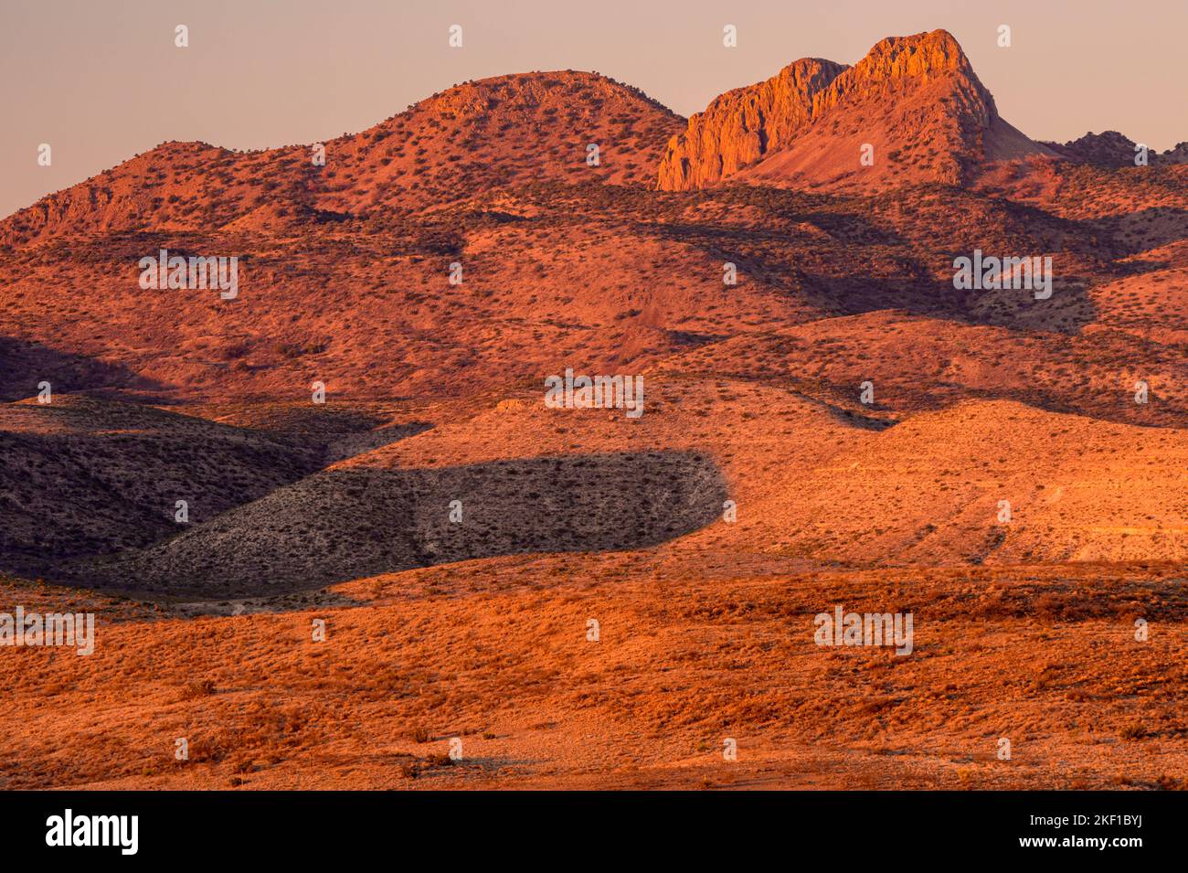 Deserto del Texas occidentale all'alba - Davis Mountains, vicino a Fort Davis, Texas, Stati Uniti Foto Stock