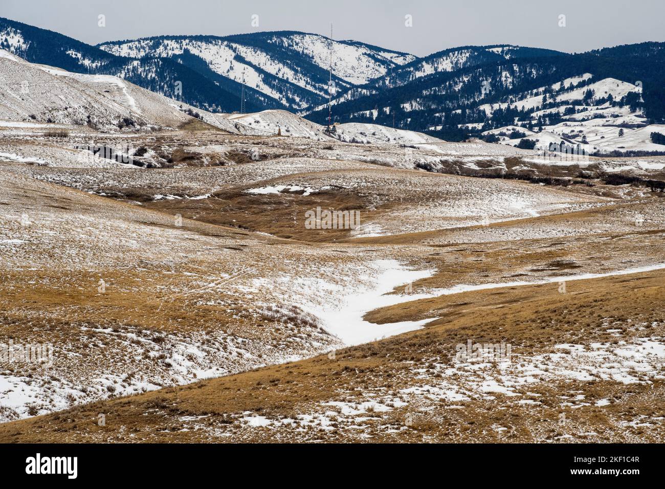 Winter Prairie, i 90 a sud di Sheridan, Montana, USA Foto Stock