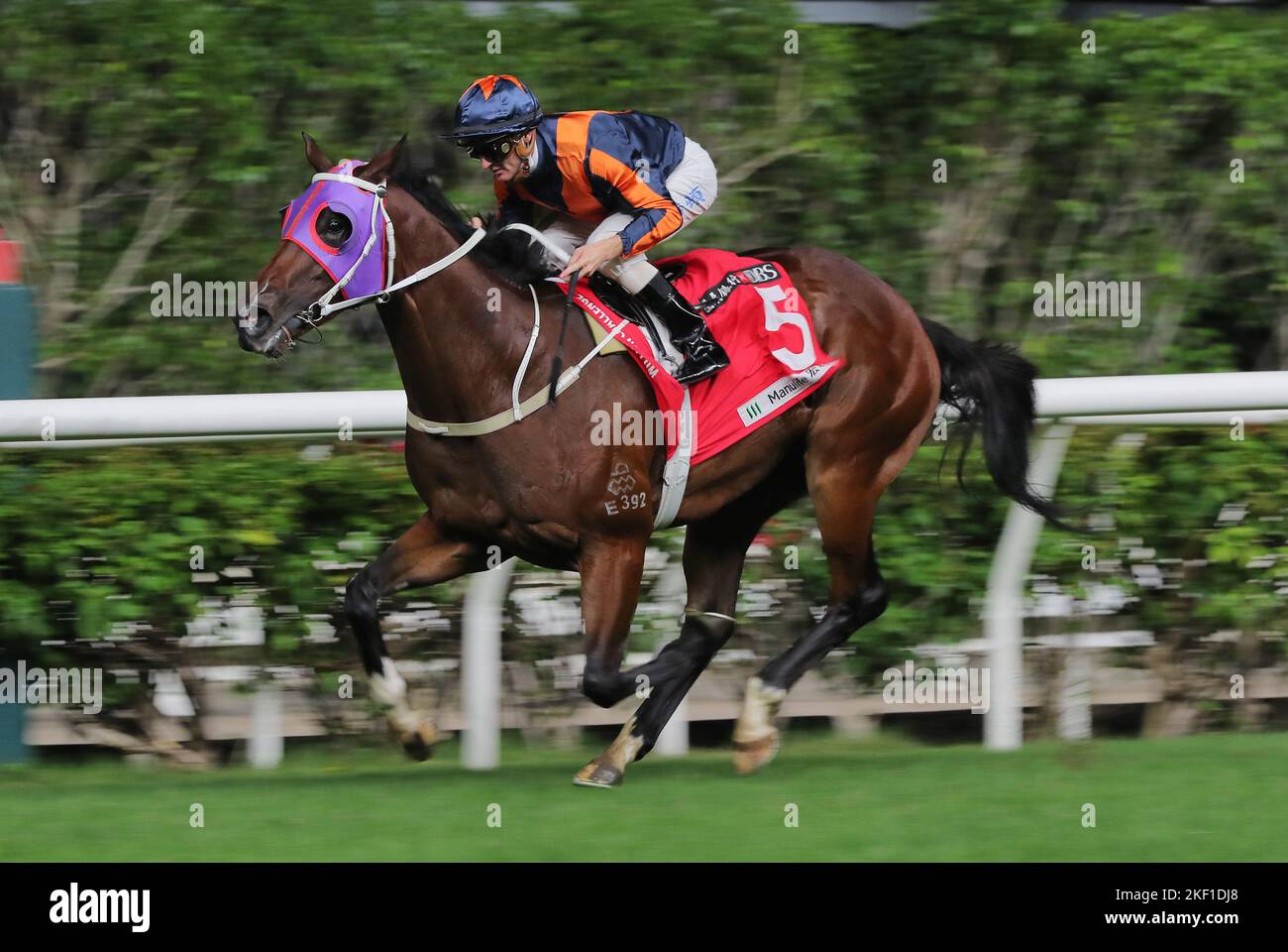 Gara 7, WHIZZ KID (5), guidato da Zac Purton, ha vinto la classe 2 su 1000m a Happy Valley. 09NOV22 SCMP / Kenneth Chan. Foto Stock