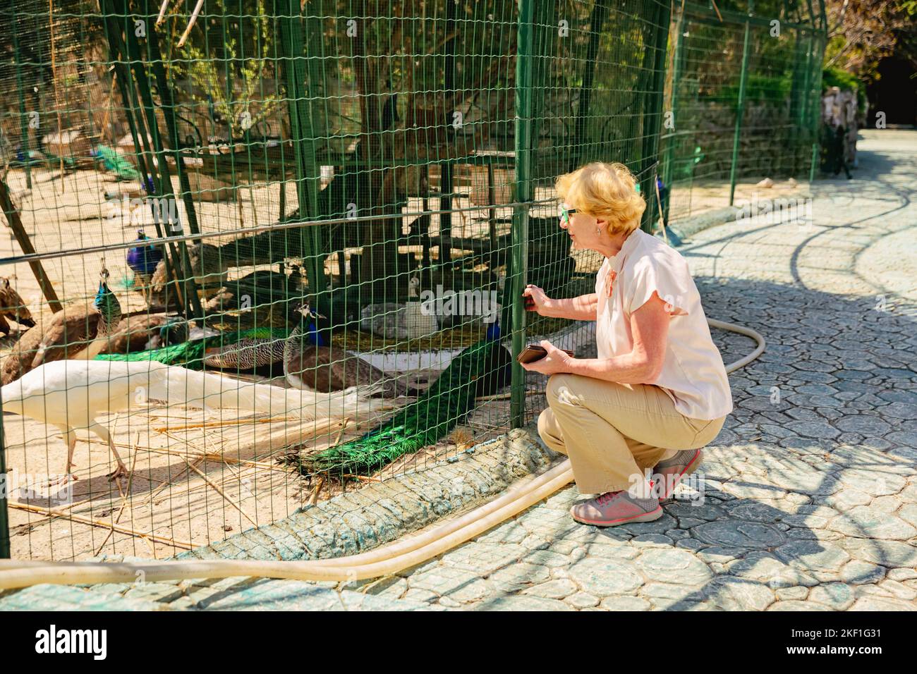 Donna turistica anziana in un'escursione allo zoo. Foto Stock