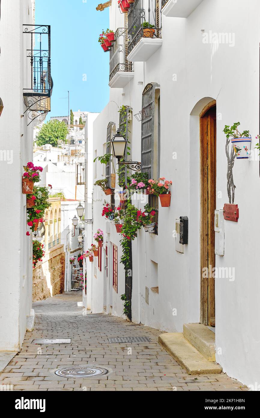 Pittoresco villaggio dipinto di bianco nel sud della Spagna. Mojacar, luogo famoso di Almeria. Carino strada stretta conduce alla città antica, carino flowerpot appeso Foto Stock