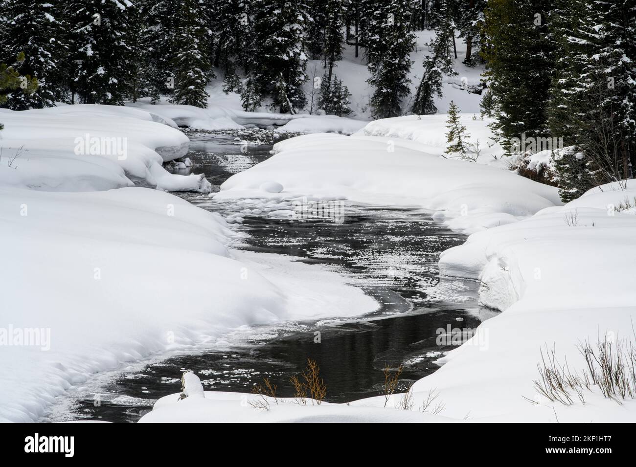 Soda Butte Creek, parco nazionale di Yellowstone, Wyoming, Stati Uniti Foto Stock