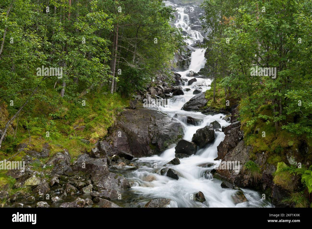 Langfossen, comune di Etne nella contea di Vestland, Norvegia Foto Stock