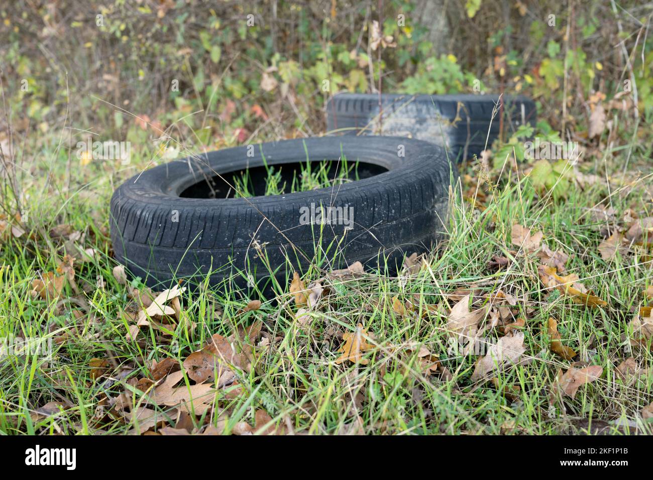 I vecchi pneumatici sono stati scartati illegalmente nella foresta Foto Stock