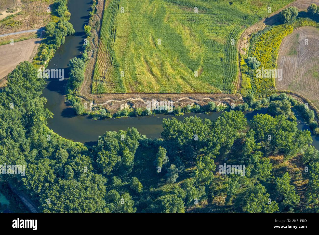 Vista aerea, fiume Lippe, corso del fiume ad angolo retto, fiume e sviluppo di pianura alluvionale del Lippe Vogelsang, rinaturazione, sandbank NSG Lippeaue, cit Foto Stock