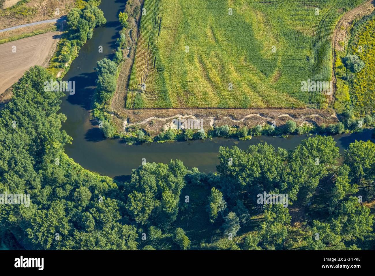 Vista aerea, fiume Lippe, corso del fiume ad angolo retto, fiume e sviluppo di pianura alluvionale del Lippe Vogelsang, rinaturazione, sandbank NSG Lippeaue, cit Foto Stock