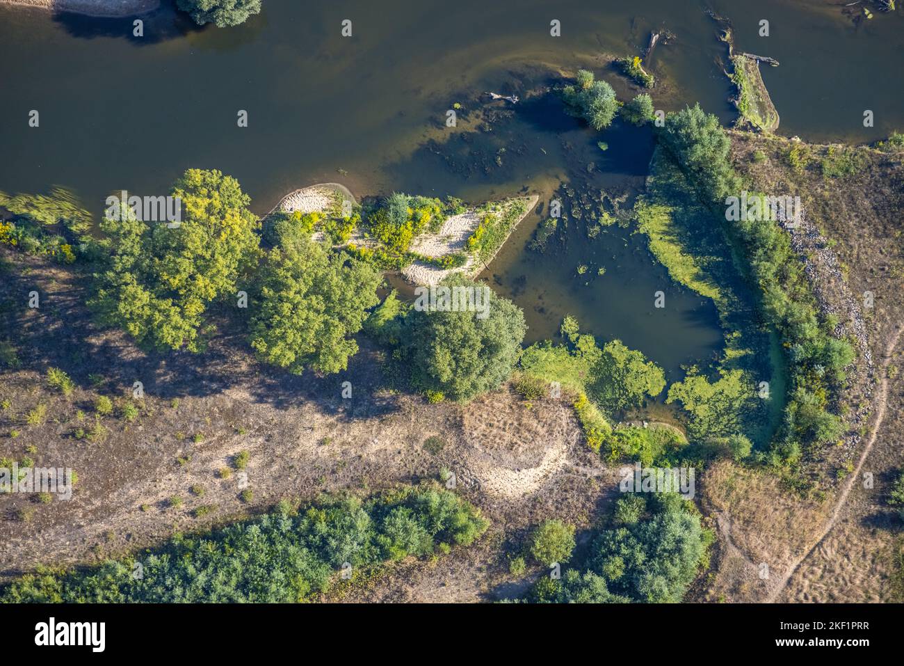 Veduta aerea, fiume Lippe, Sandbank, NSG Lippeaue, fiume e sviluppo di pianura alluvionale della Lippe Vogelsang, rinaturazione, alghe blu-verdi Elodea, città Foto Stock