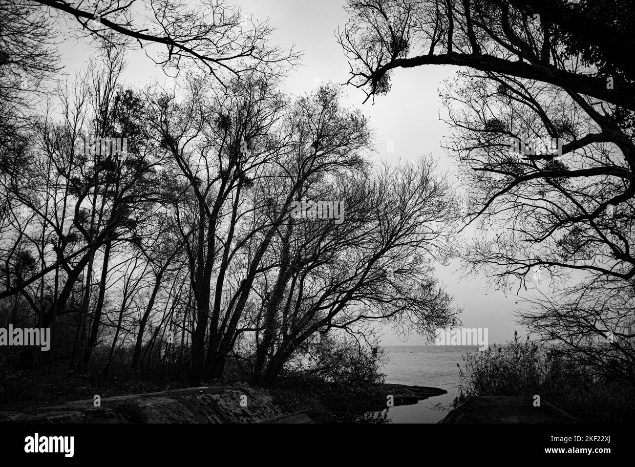 dunkle winterstimmung am neuenburgersee Foto Stock