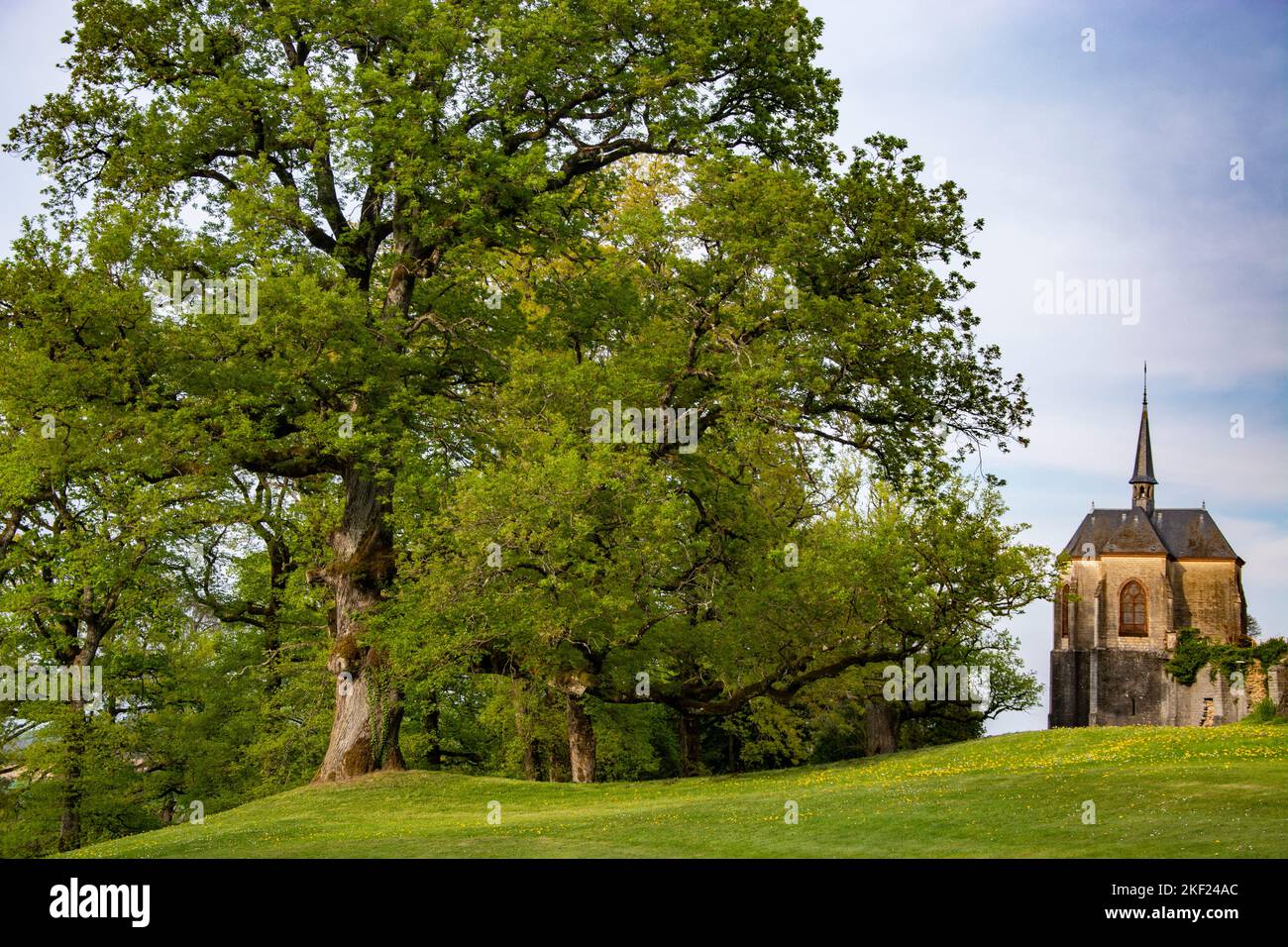 Mächtige Eichen rund um das Schloss Bournel in der Franche-Comté Foto Stock