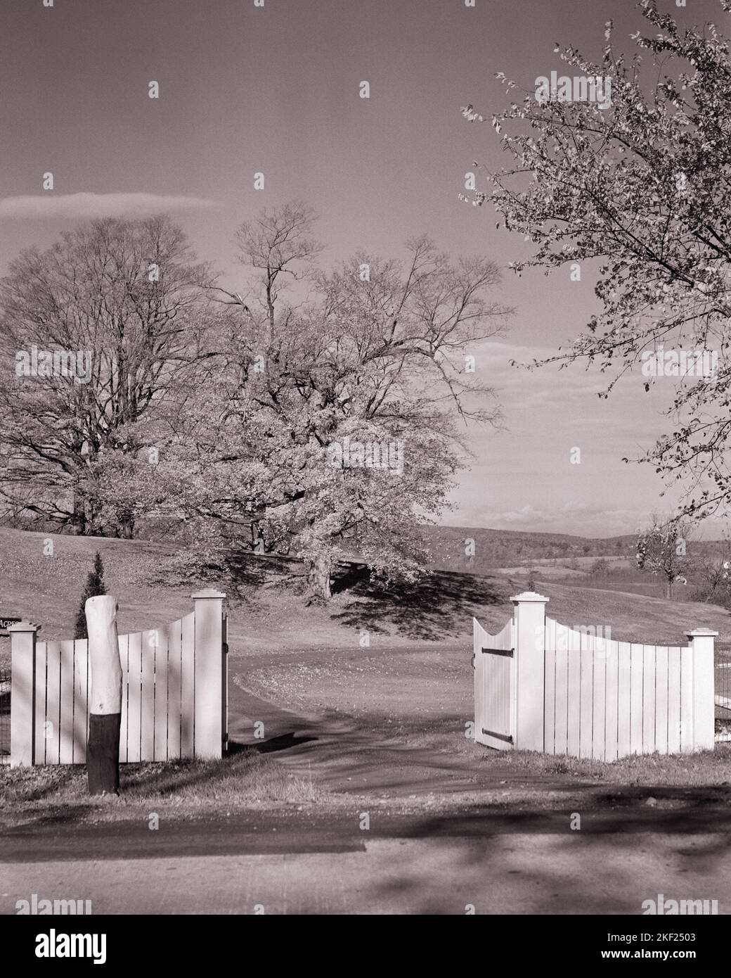 1940S APERTO PORTA IN LEGNO CON LUNGO E TORTUOSO VIALETTO PER LA TENUTA DI CAMPAGNA - G3109 HAR001 HARS PRIVACY Foto Stock