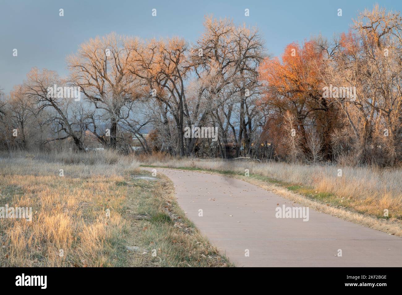 Pista ciclabile lastricata lungo il fiume Poudre nell'area di Fort Collins nel Colorado settentrionale, a metà novembre scenario autunnale, concetto di ricreazione e pendolarismo Foto Stock