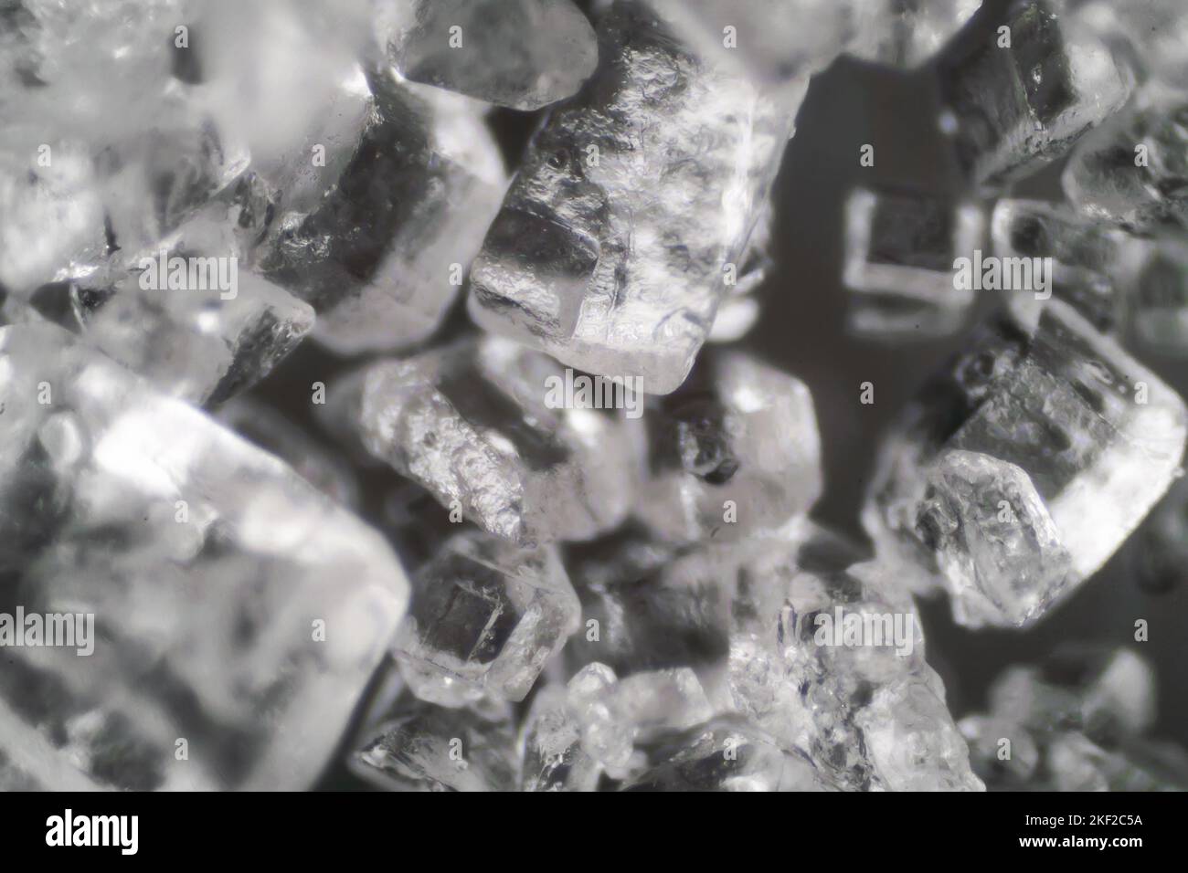 Mondo microscopico. I cristalli di sale. Foto Stock