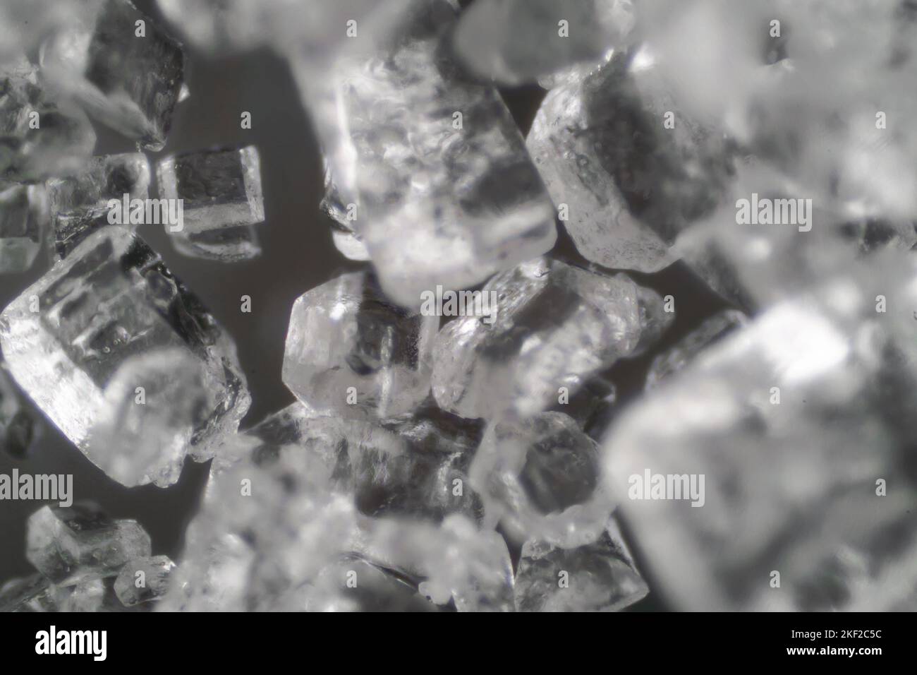 Mondo microscopico. I cristalli di sale. Foto Stock