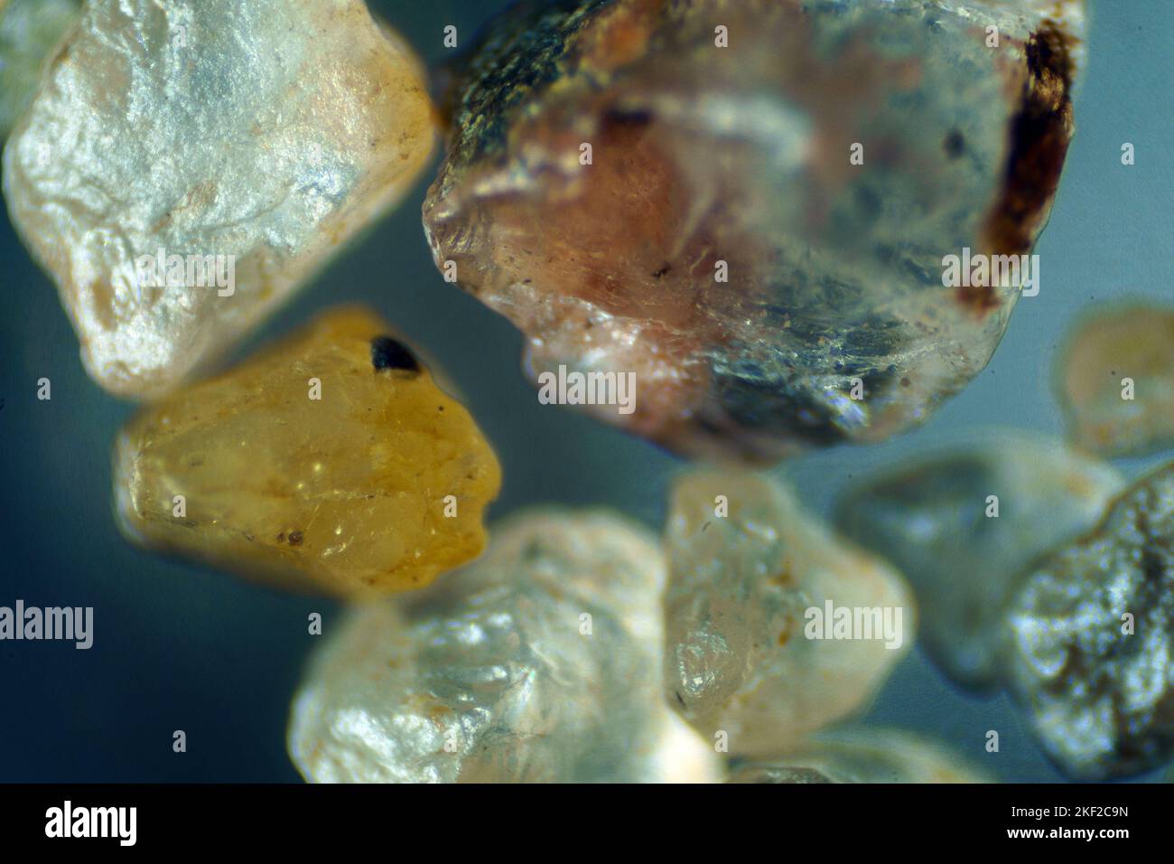 Il mondo microscopico. Grani di sabbia di mare. Foto Stock