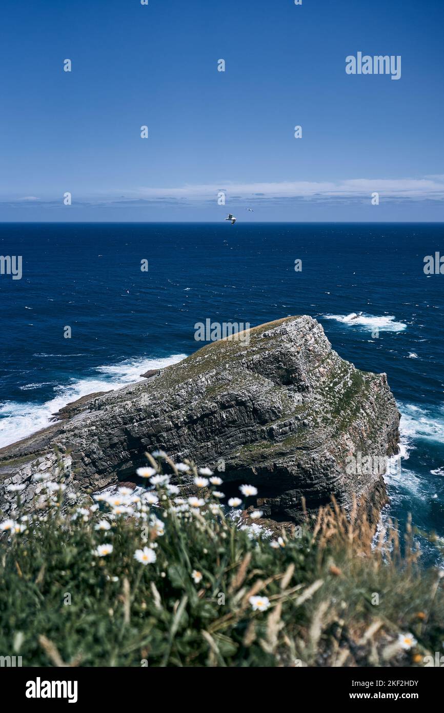 Gabbiani solitari che volano serenamente sulle grandi rocce delle scogliere vicino alle forti onde del mare Cantabrico, asturie, spagna Foto Stock