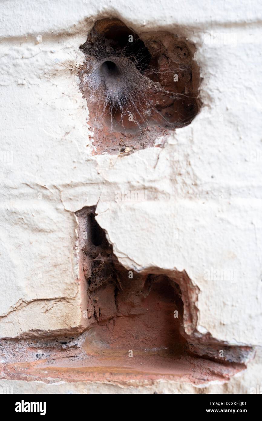 Ragni lair in eroding muro di mattoni. Struttura a imbuto con debole impressione della gamba interna del ragno. Ragno in agguato. Creepy Foto Stock