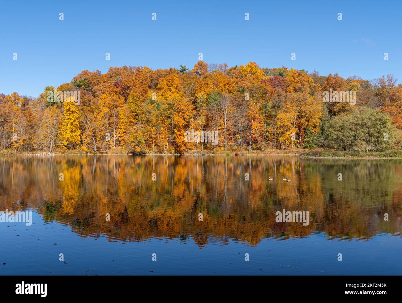 I colori autunnali si riflettono sul lago Beebe, nel campus della Cornell University di Ithaca, New York Foto Stock