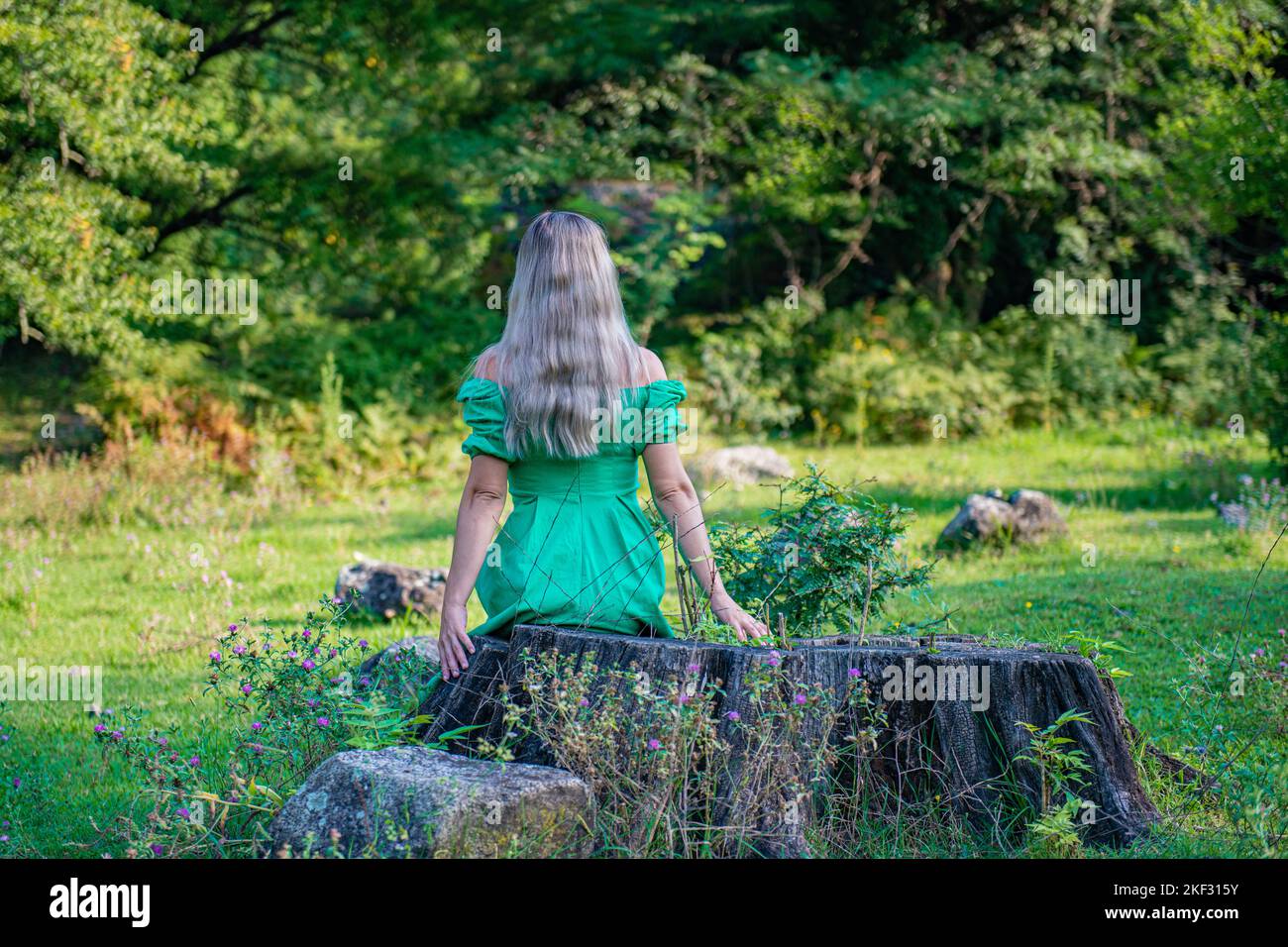 una ragazza in un vestito verde è seduta su un moncone Foto Stock