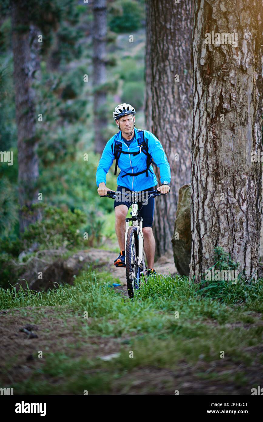 In solitaria attraverso la natura, un ciclista maschile che corre lungo un sentiero per mountain bike. Foto Stock