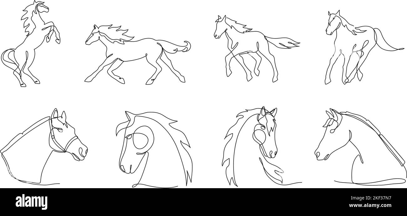 Una linea di cavalli. Minimalismo cavallo ritratto e silhouette, animali stabili singolo vettore linea continua illustrazione set Illustrazione Vettoriale