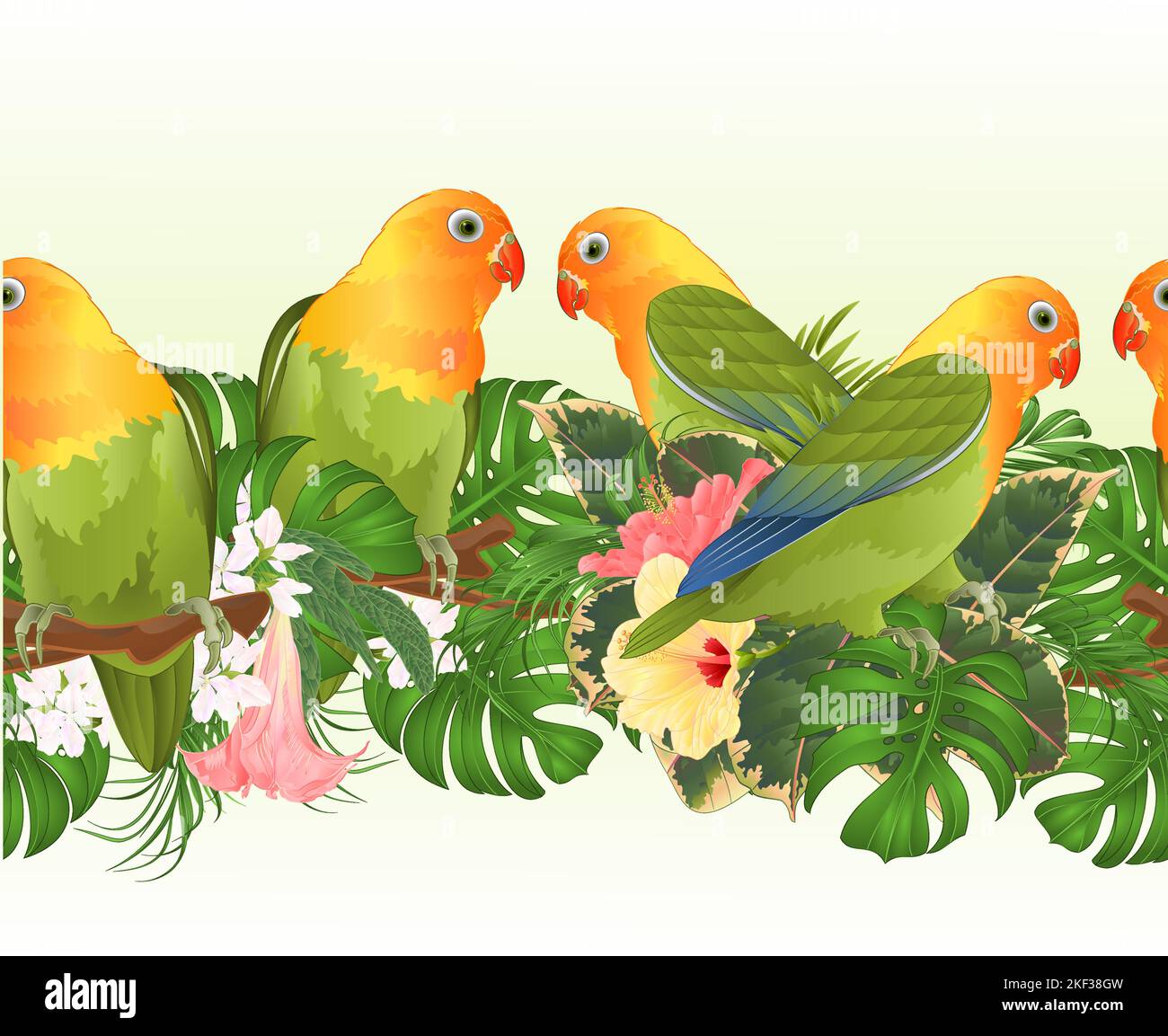 Confine tropicale senza cuciture sfondo Parrots Agapornis lovebird uccelli tropicali in piedi su un ramo e Brugmansia con hibiscus rosa e giallo su un Illustrazione Vettoriale