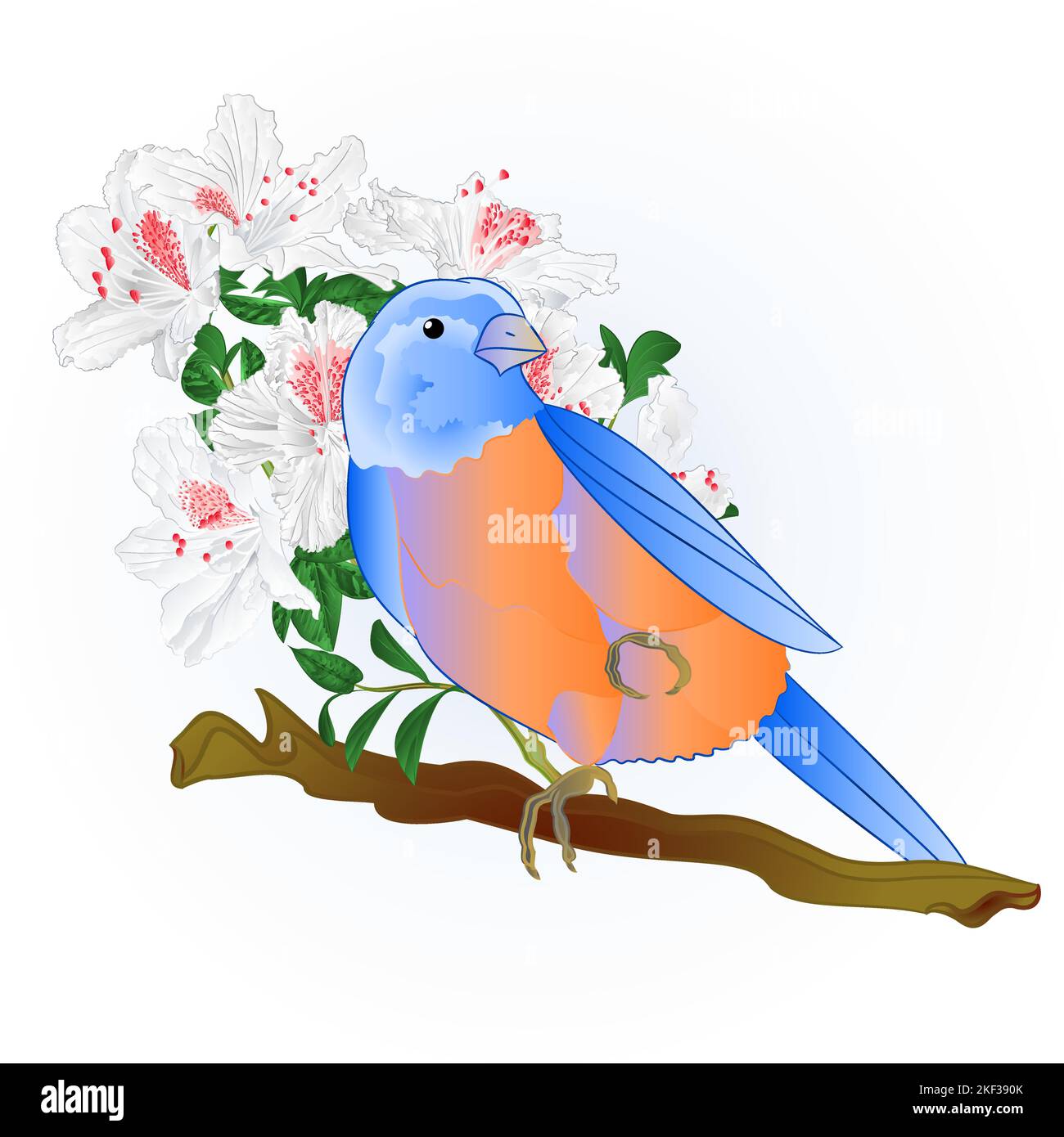 Piccolo songbirdon Bluebird thrush e bianco rododendron primavera sfondo vintage vettore illustrazione modificabile disegno a mano Illustrazione Vettoriale