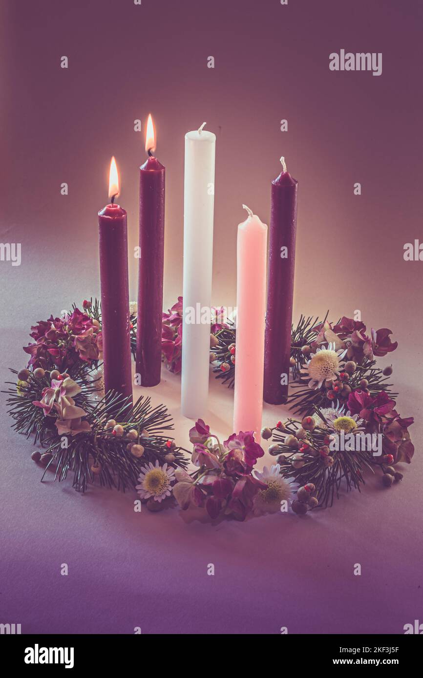 3 candele viola, 1 candela rosa e una candela bianca su corona dell'avvento cristiano decorata e adornata, isolata, seconda settimana dell'avvento Foto Stock