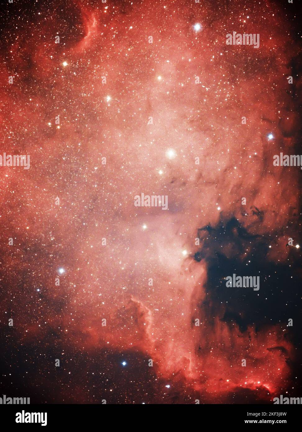 Nord America Nebula in Cygnus Foto Stock