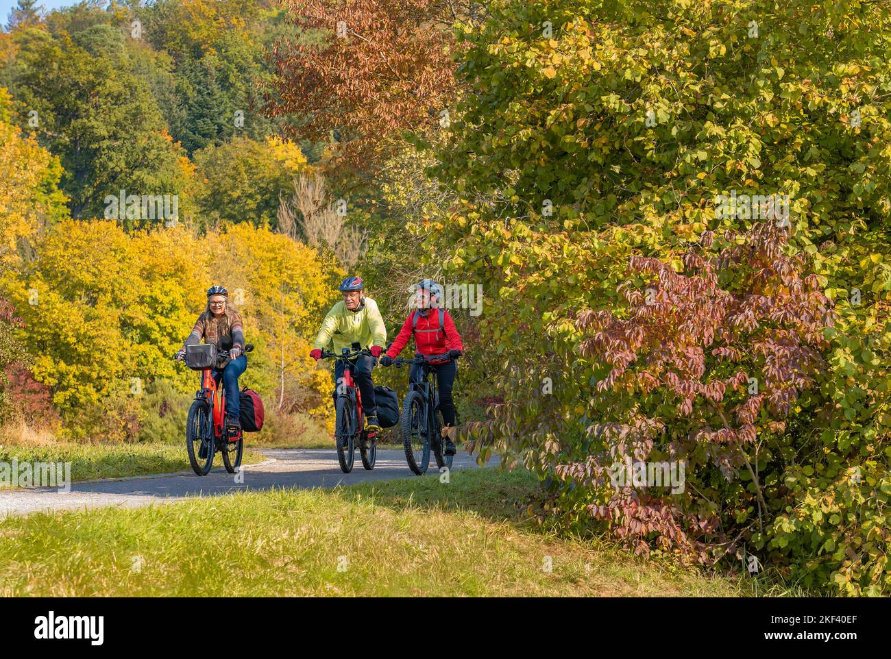 Tre adulti anziani felici, in mountain bike nell'atmosfera autunnale delle foreste cadute intorno alla città di Stoccarda, Baden Wuerttemberg, GE Foto Stock