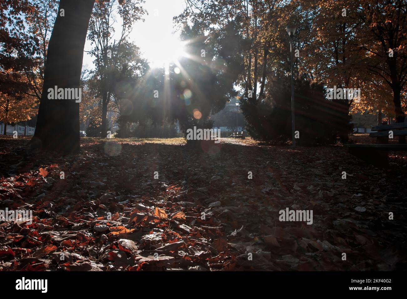 City Park in autunno Foto Stock