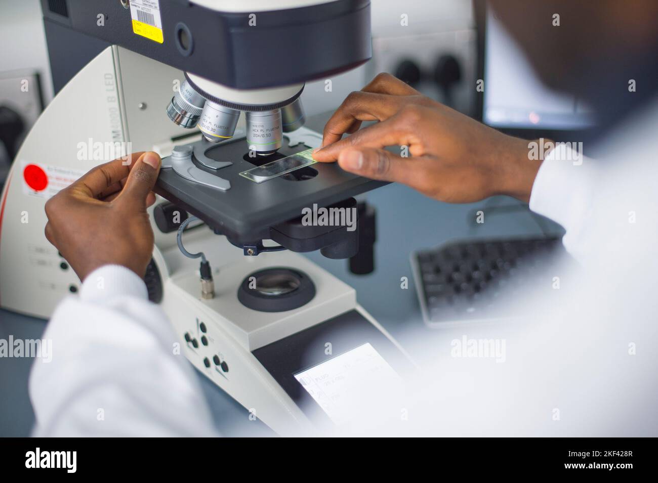 Uno studente universitario che usa un microscopio Foto Stock